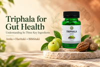 Triphala for Gut Health: Understanding Its Three Key Ingredients Vanan Herbal