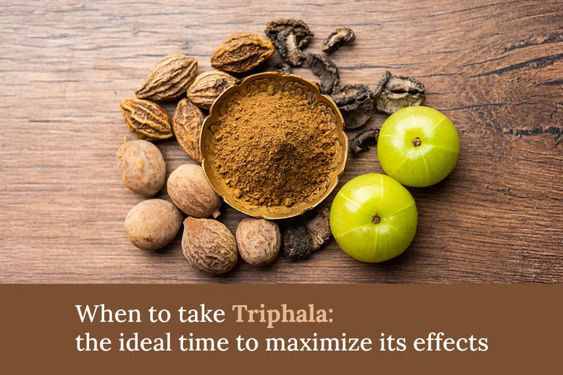 When to take Triphala: the ideal time to maximize its effects Vanan Herbal