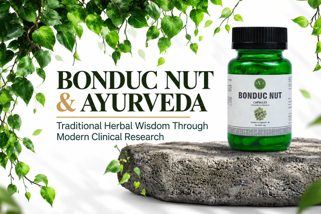 Bonduc Nut and Ayurveda: Exploring the Traditional Herb Through Modern Clinical Research Vanan Herbal