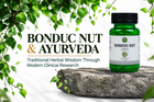 Bonduc Nut and Ayurveda: Exploring the Traditional Herb Through Modern Clinical Research Vanan Herbal