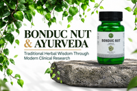 Bonduc Nut and Ayurveda: Exploring the Traditional Herb Through Modern Clinical Research Vanan Herbal