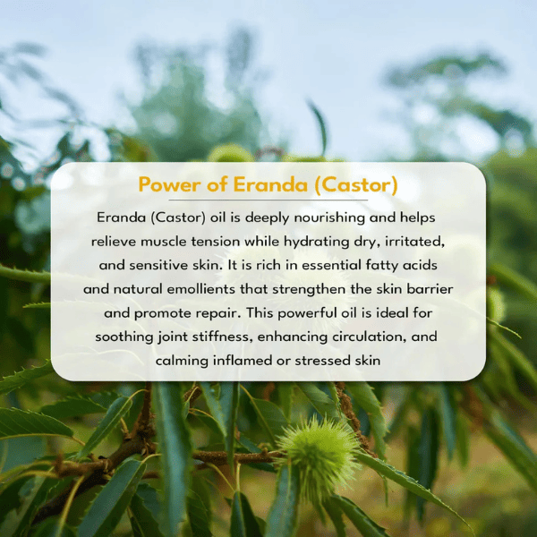 Eranda Massage Oil – 90 ml | Ayurvedic Skin-Soothing & Hydrating Oil | Vanan Herbal 