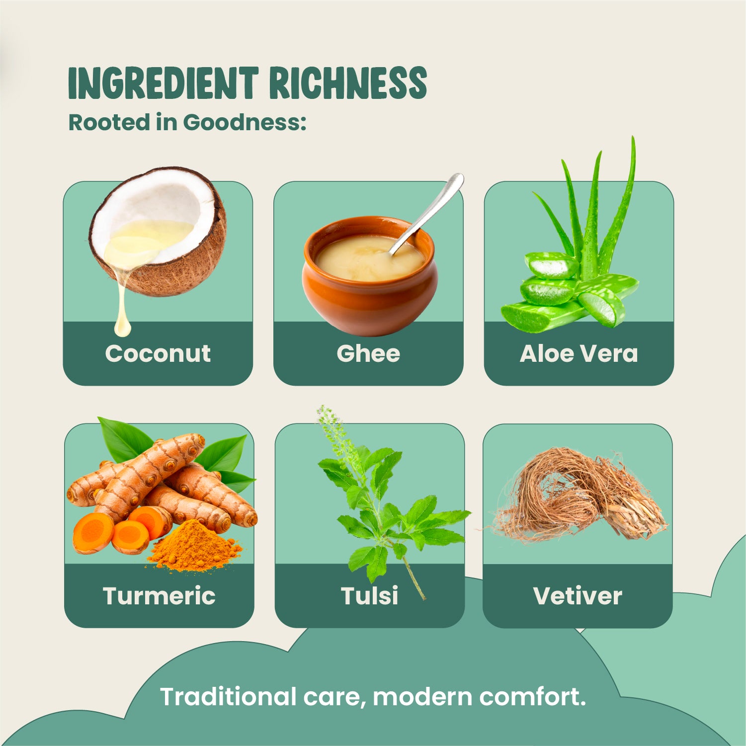 Illustration of coconut, ghee, aloe vera, turmeric, tulsi, and vetiver with text 'Ingredient Richness' and 'Rooted in Goodness'.