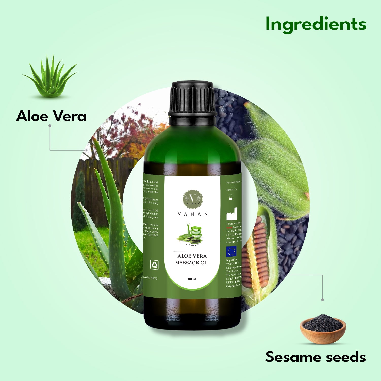 Bottle of aloe vera massage oil with aloe vera and sesame seeds on a light green background.